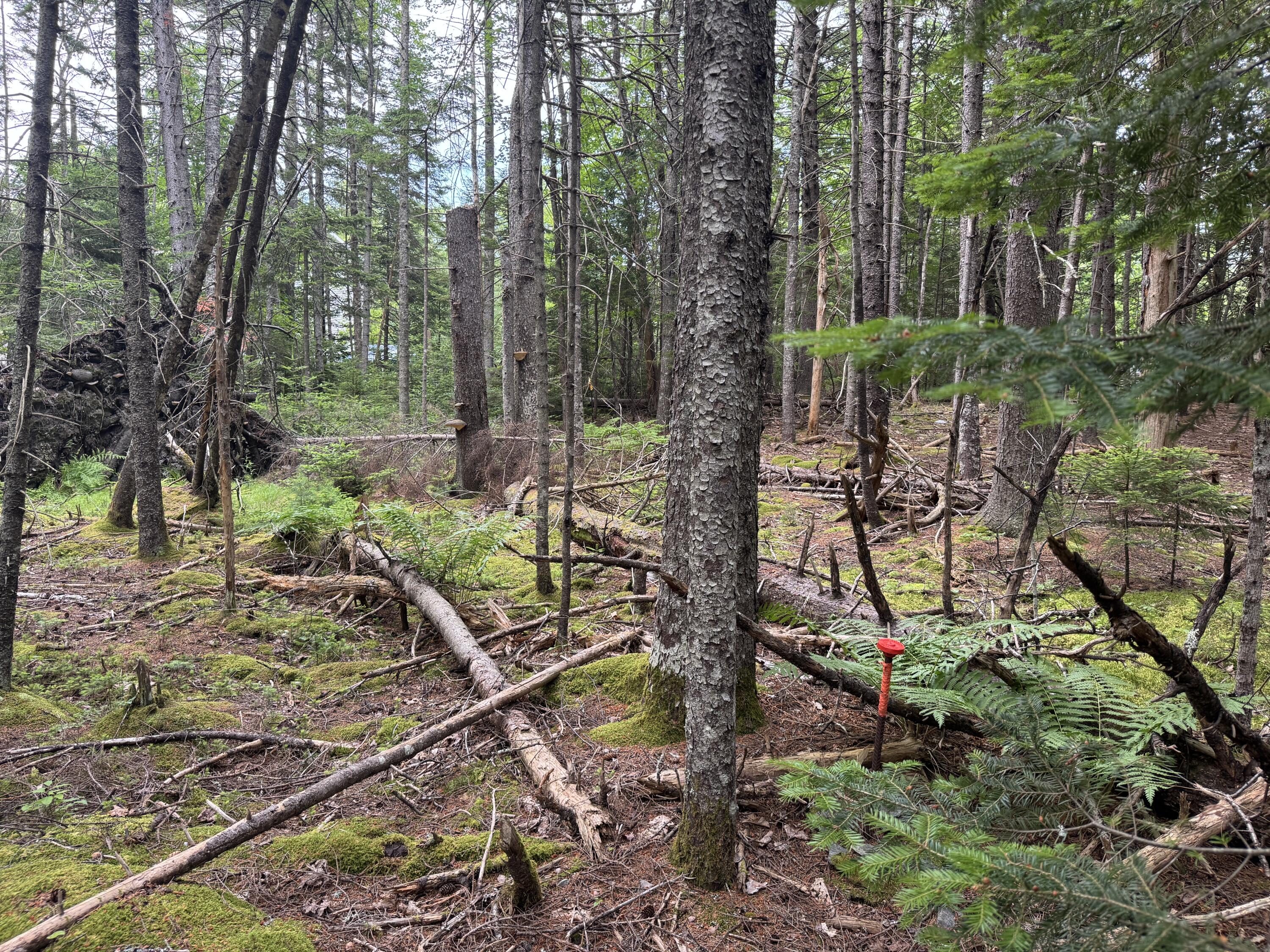 1-108 Oak Point Road Trenton, ME 04605 - Photo 6 of 6 IMG_1582