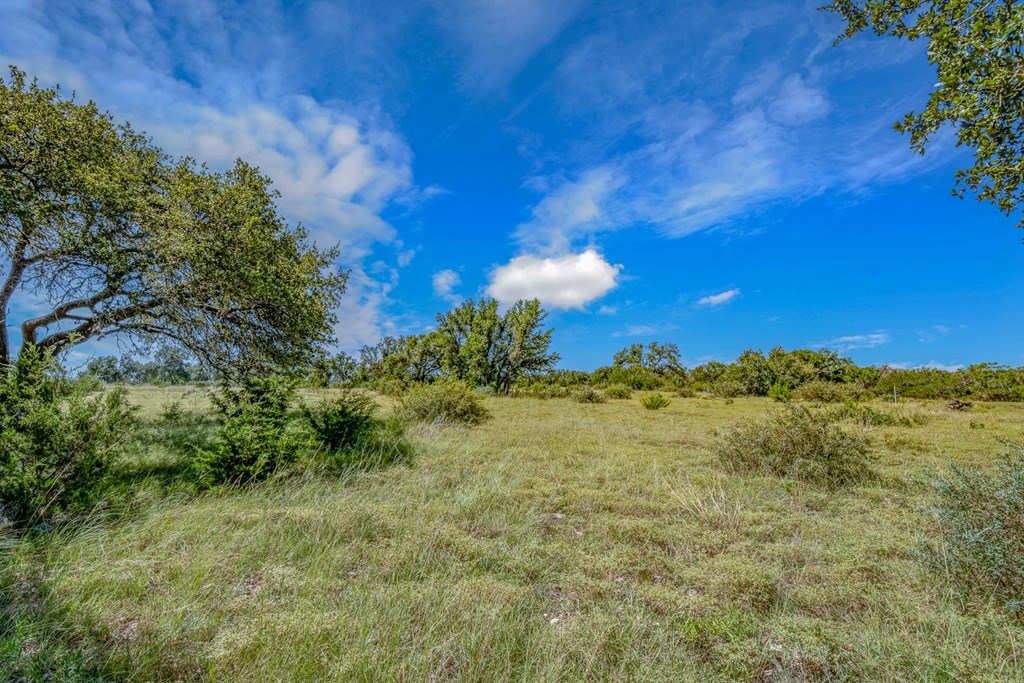 13 Bonita View Ranch Road Harper, TX 78631 - Photo 2 of 10