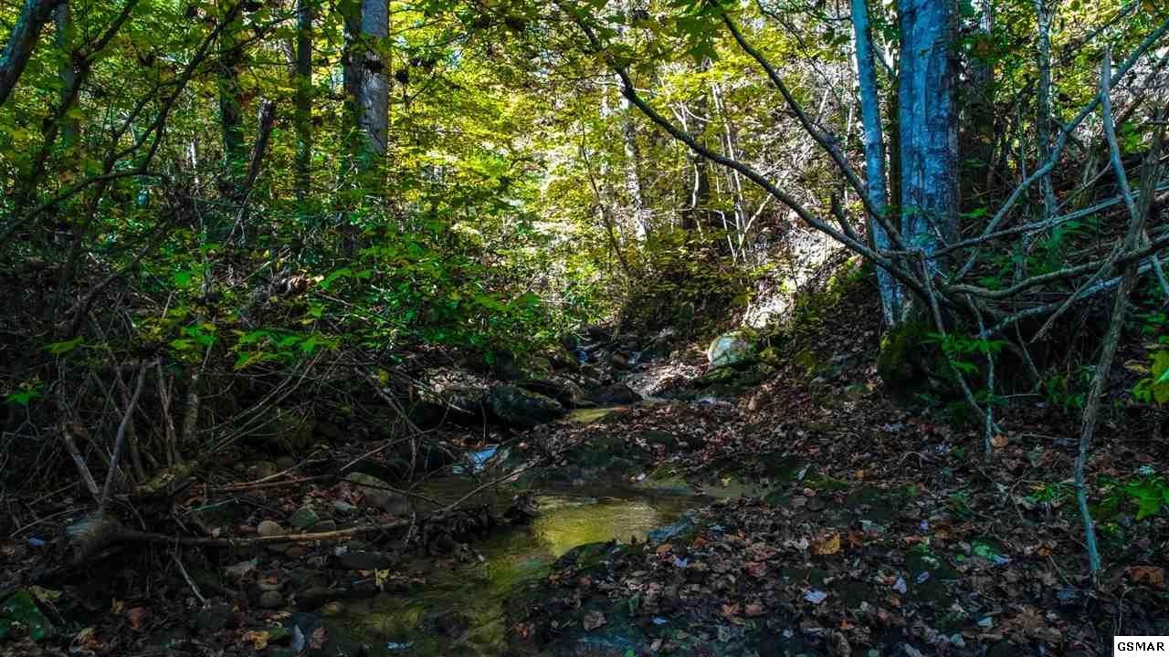 1 Bogard Crk Road Cosby, TN 37722 - Photo 10 of 28 Gallery Image 10