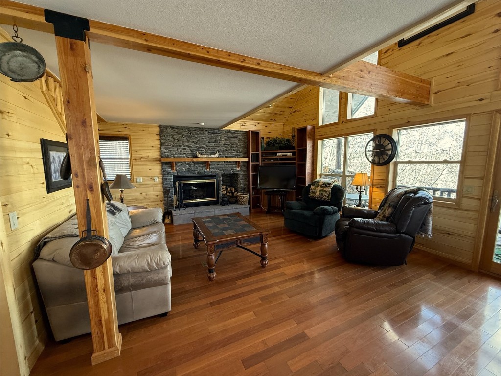 1387 High Creek Road Fairplay, CO 80440 - Photo 12 of 47 a living room with furniture fireplace and flat screen tv