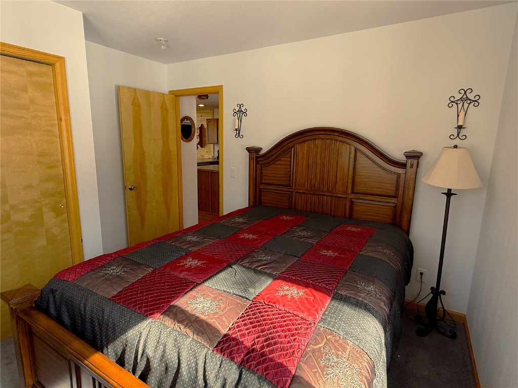 1387 High Creek Road Fairplay, CO 80440 - Photo 16 of 47 a bedroom with a bed and a mirror