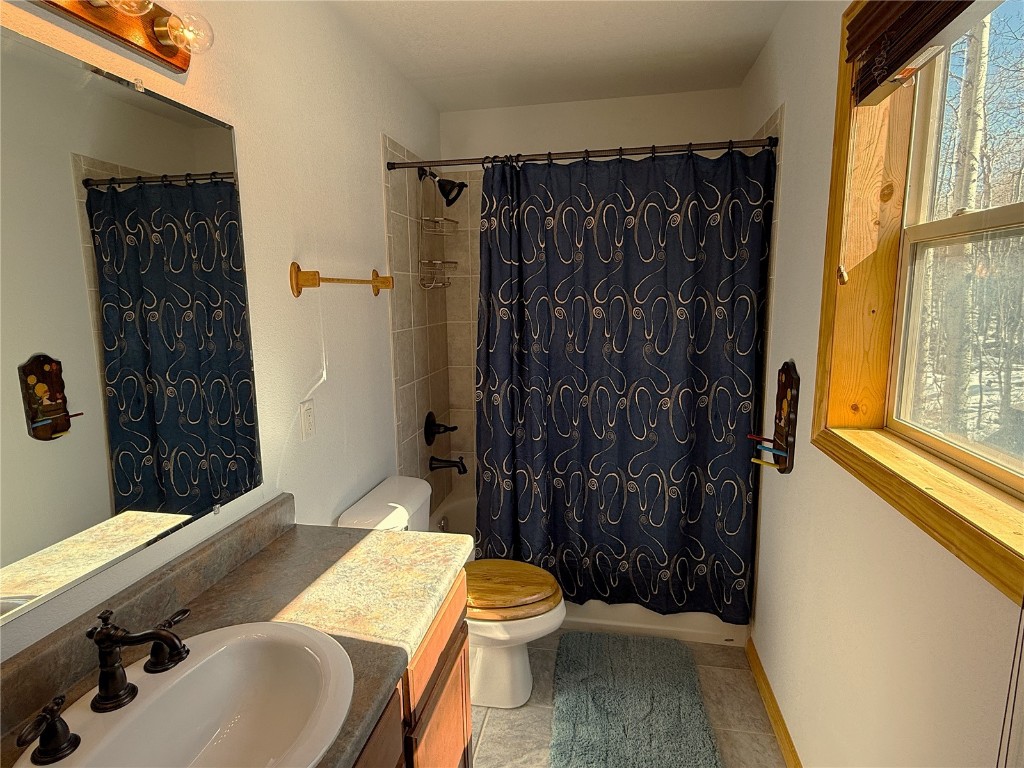 1387 High Creek Road Fairplay, CO 80440 - Photo 17 of 47 a bathroom with a sink a toilet a mirror and shower