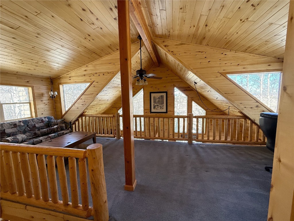 1387 High Creek Road Fairplay, CO 80440 - Photo 18 of 47 a view of entryway