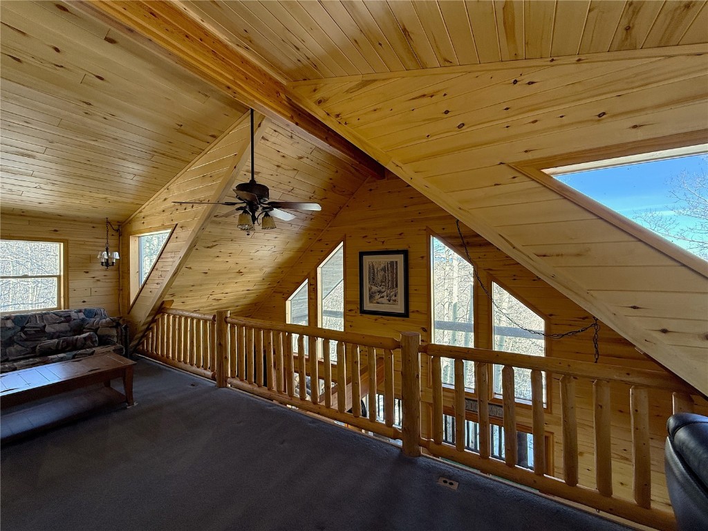 1387 High Creek Road Fairplay, CO 80440 - Photo 21 of 47