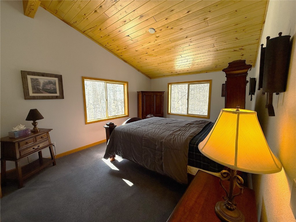 1387 High Creek Road Fairplay, CO 80440 - Photo 26 of 47 a bed room with a bed and window