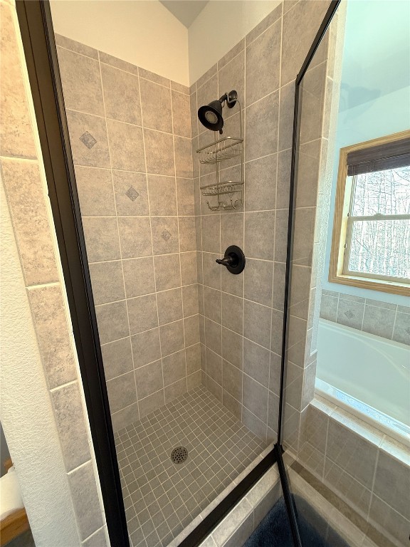 1387 High Creek Road Fairplay, CO 80440 - Photo 30 of 47 a bathroom with a shower