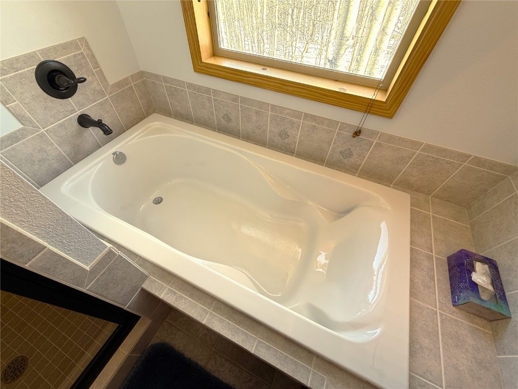 1387 High Creek Road Fairplay, CO 80440 - Photo 31 of 47 a bathroom with a bathtub