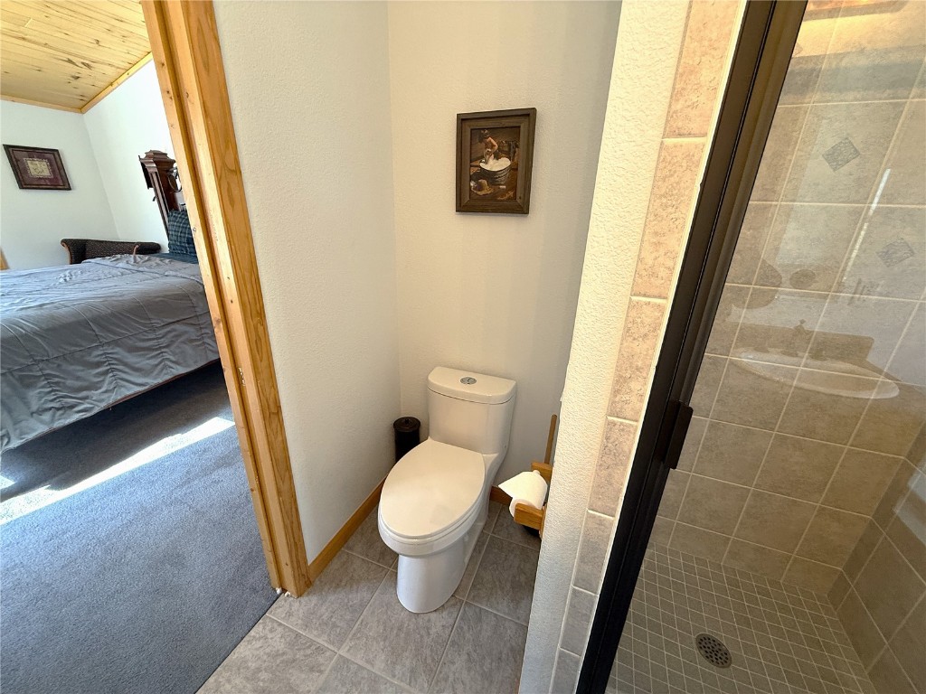 1387 High Creek Road Fairplay, CO 80440 - Photo 32 of 47 a bathroom with a toilet and a shower