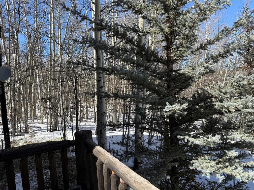 1387 High Creek Road Fairplay, CO 80440 - Photo 42 of 47 a view of a wooden fence and trees