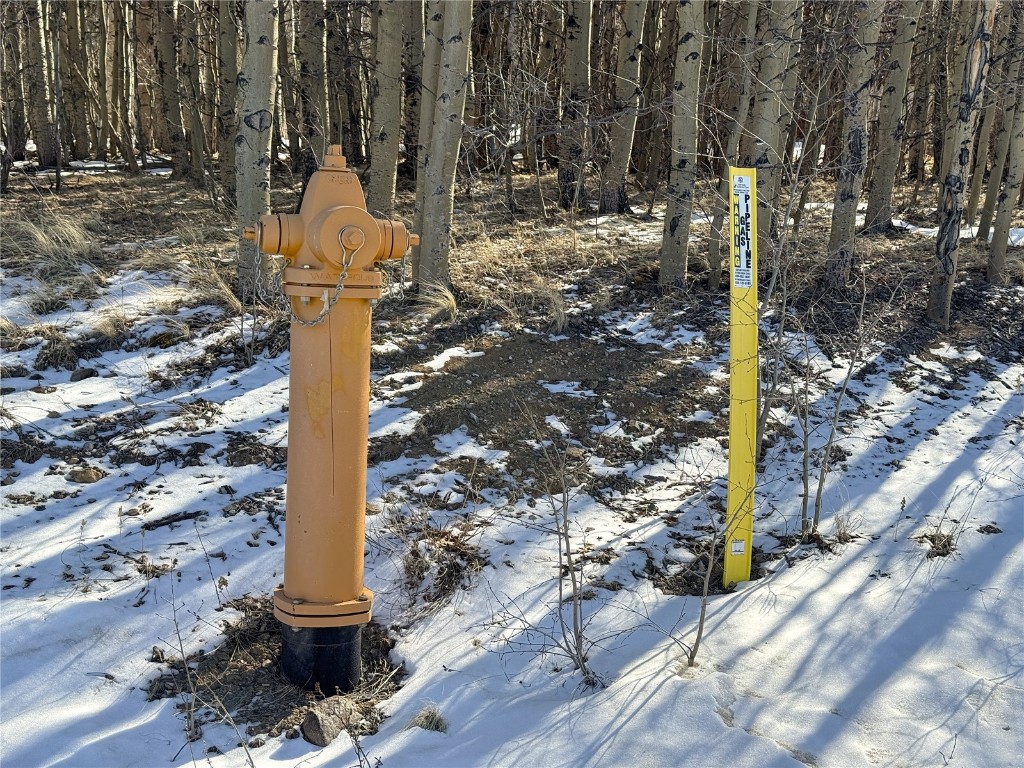 1387 High Creek Road Fairplay, CO 80440 - Photo 45 of 47 a front view of a house with street