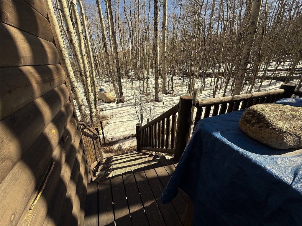 1387 High Creek Road Fairplay, CO 80440 - Photo 7 of 47 a view of balcony and wooden floor