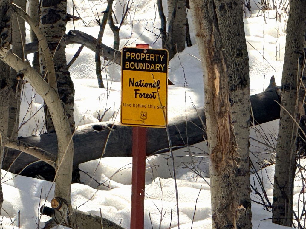 1387 High Creek Road Fairplay, CO 80440 - Photo 8 of 47