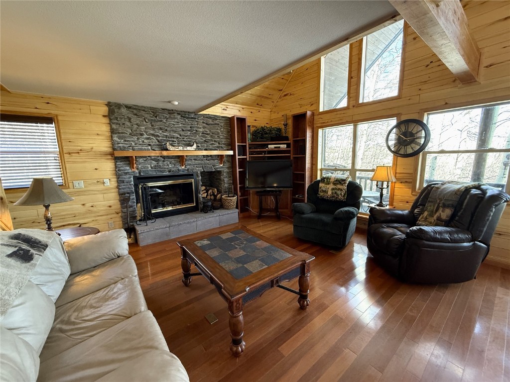 1387 High Creek Road Fairplay, CO 80440 - Photo 9 of 47 a living room with furniture fireplace and a large window