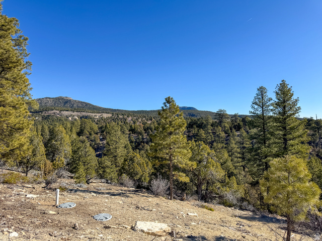 17 West Pine Street, Unit 17 Orderville, UT 84758 - Photo 13 of 15 View of mountain backdrop