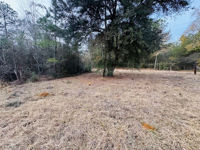 Tbd Ed Taylor Road Tylertown, MS 39667 - Photo 3 of 27 Photo 3