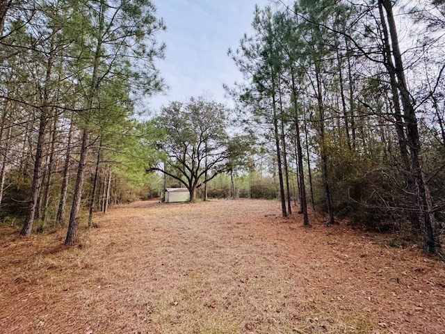Tbd Ed Taylor Road Tylertown, MS 39667 - Photo 9 of 27 Photo 9
