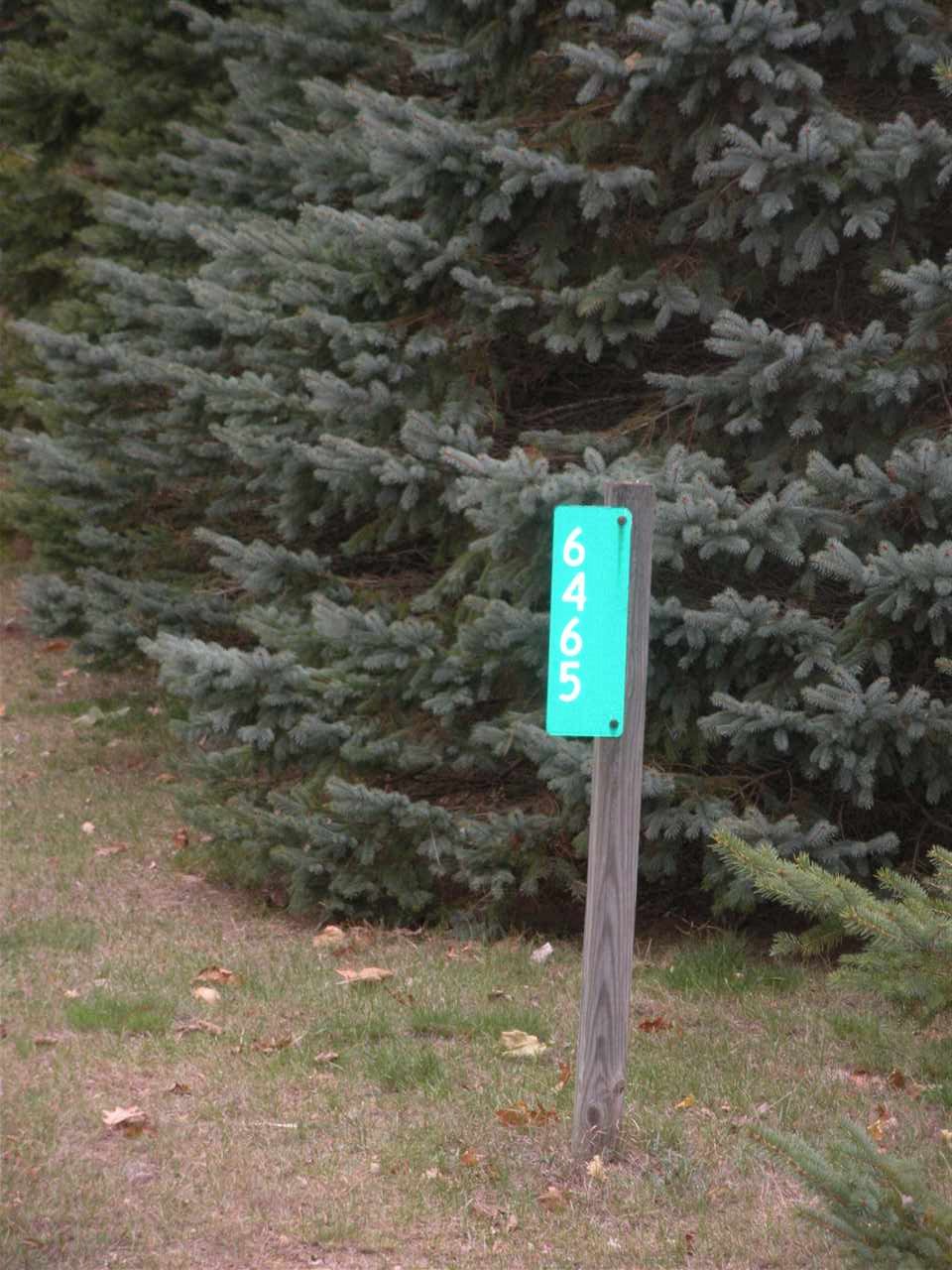 6465 Caine Road Vassar, MI 48768 - Photo 35 of 36