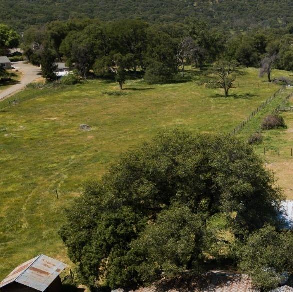 5445 Bell Road Auburn, CA 95602 - Photo 2 of 5 a view of outdoor space and yard