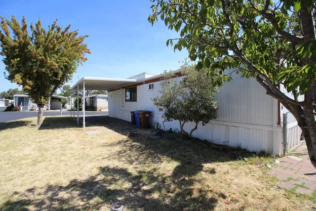 a view of a backyard with plants and large tree
