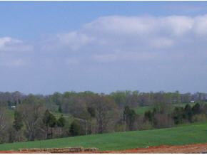 3006 Old State Rte 34 Limestone, TN 37681 - Photo 4 of 6 Photo 4