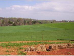 3006 Old State Rte 34 Limestone, TN 37681 - Photo 5 of 6 Photo 5