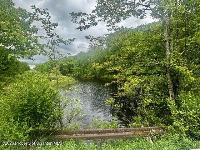 Marvins Road Susquehanna, PA 18847 - Photo 2 of 17 IMG_2818 Medium