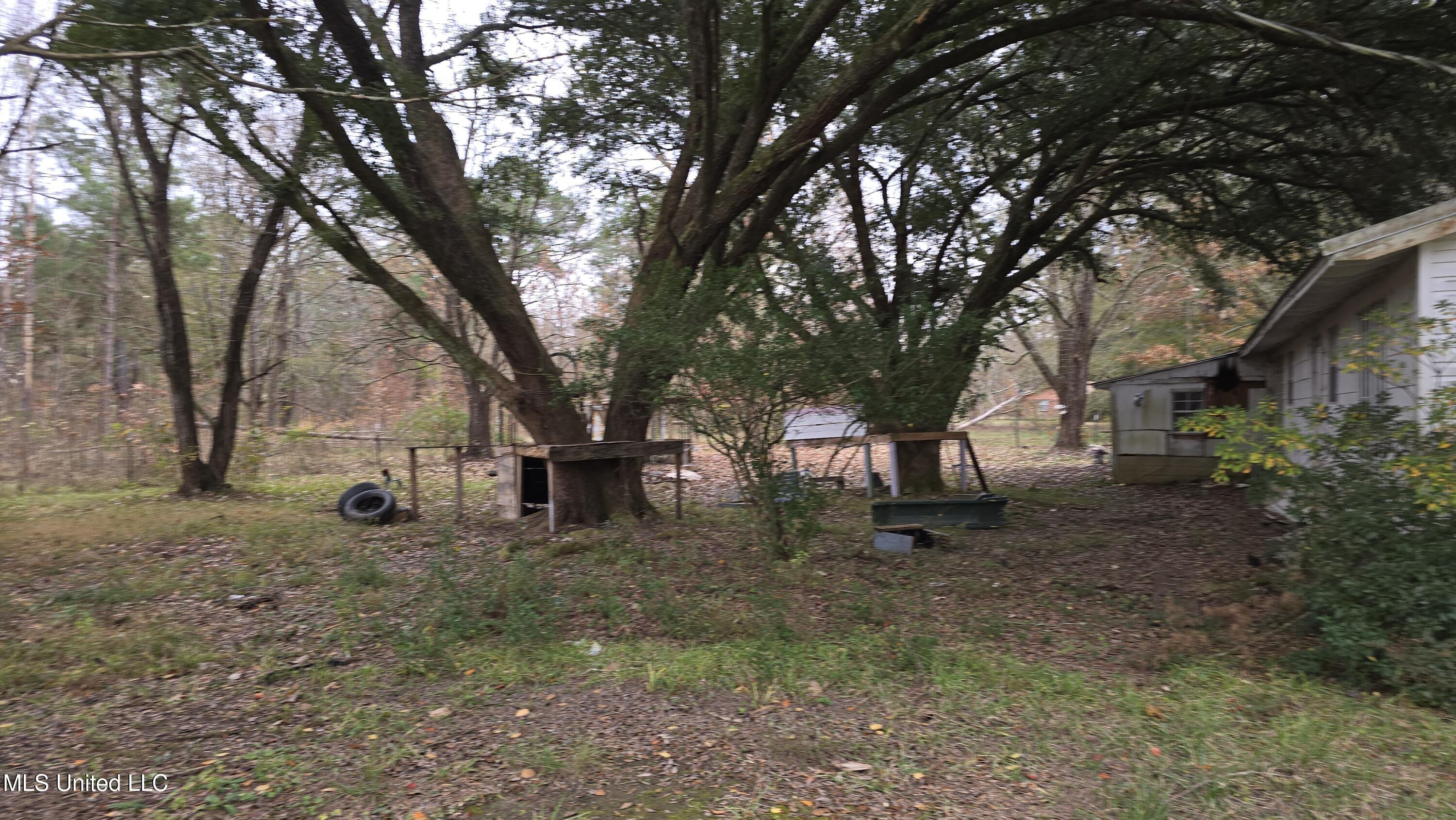 6427 Highway 33 Roxie Ms 39661 Roxie, MS 39661 - Photo 23 of 29 20251217_111524
