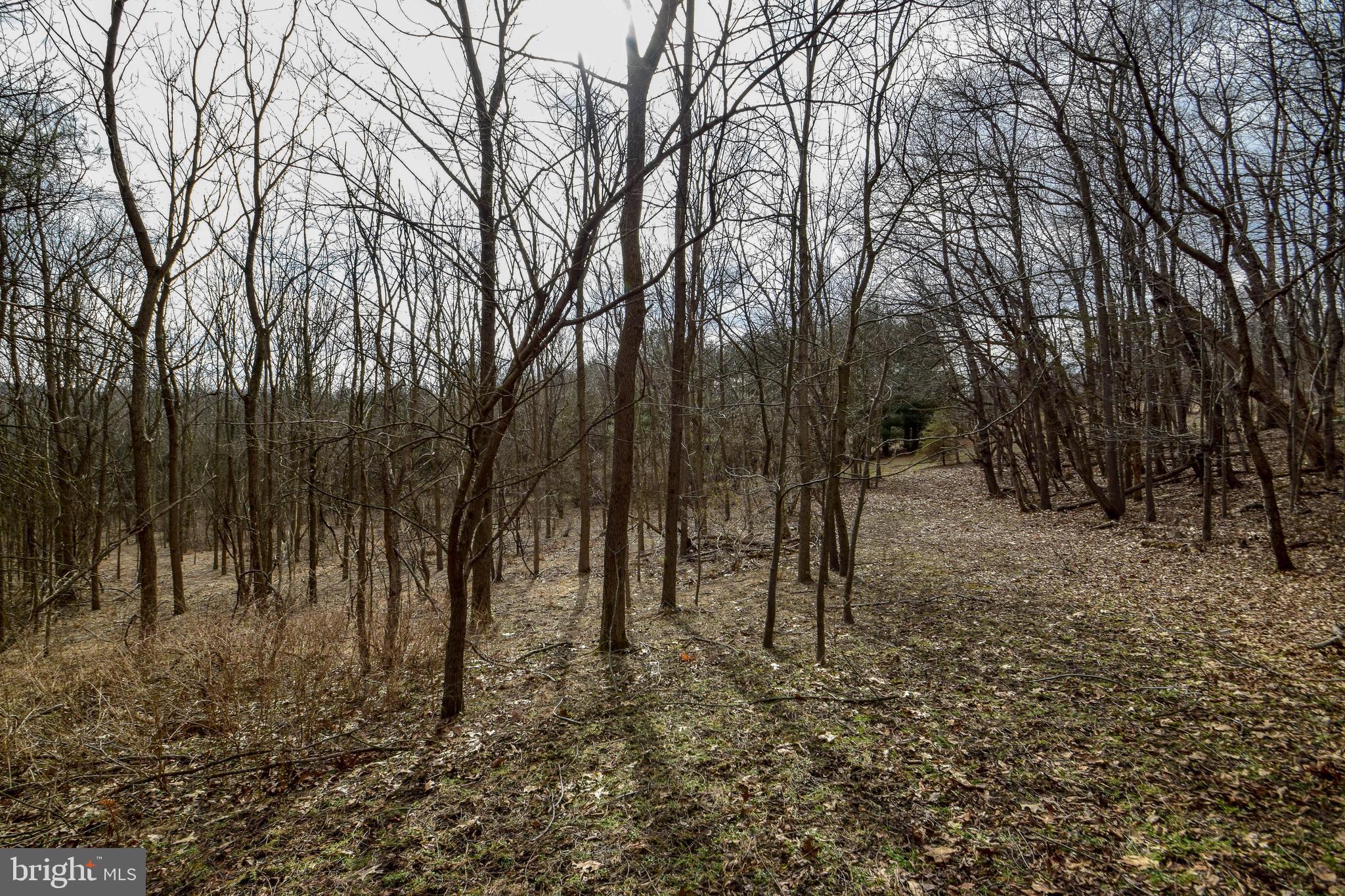 7745 Fulton School Road Felton, PA 17322 - Photo 41 of 46 Gallery Image 41