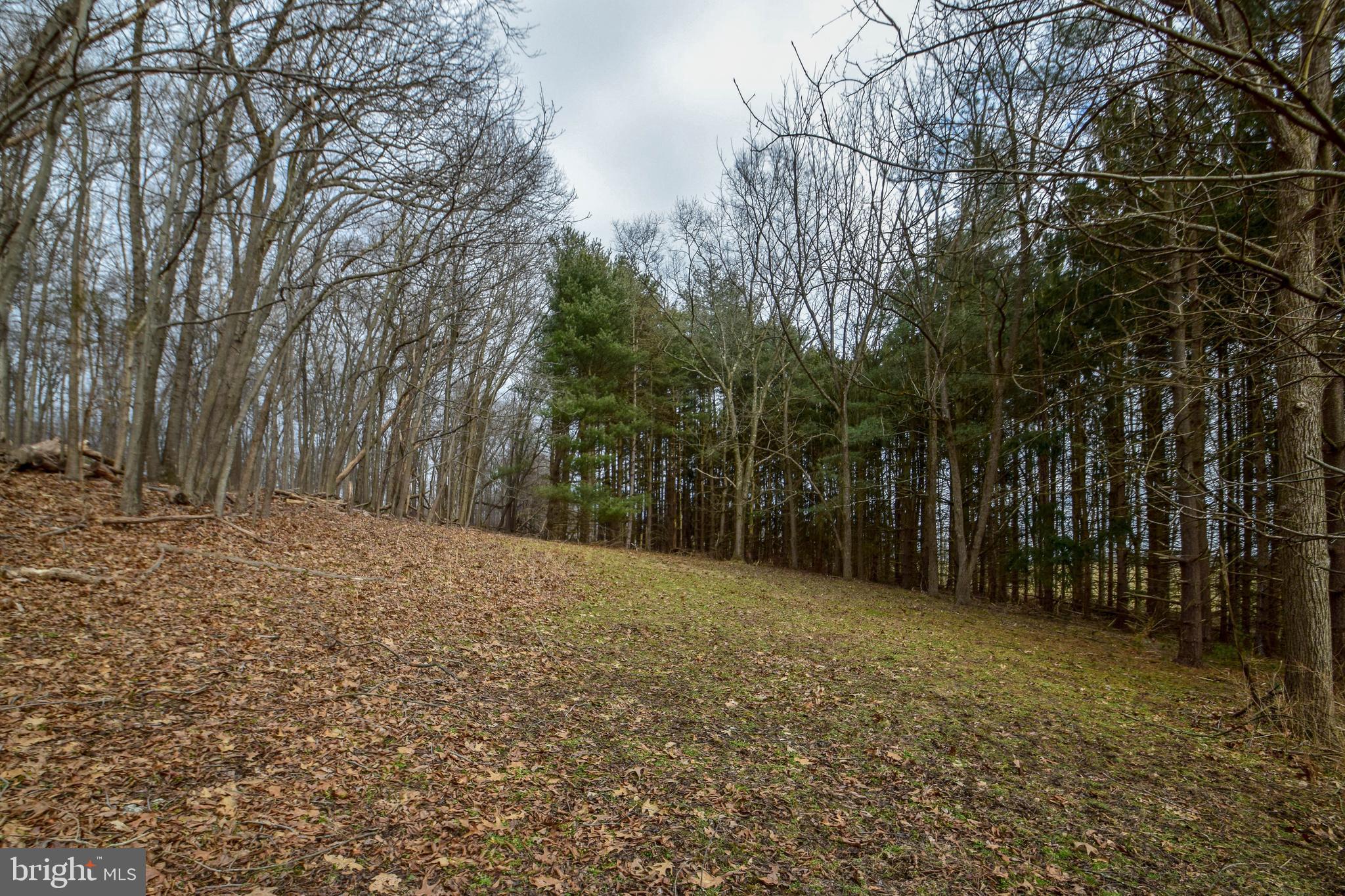 7745 Fulton School Road Felton, PA 17322 - Photo 42 of 46 Gallery Image 42