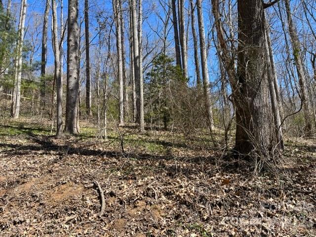 0 Laurel Road Arden, NC 28704 - Photo 1 of 2 Gallery Image 1