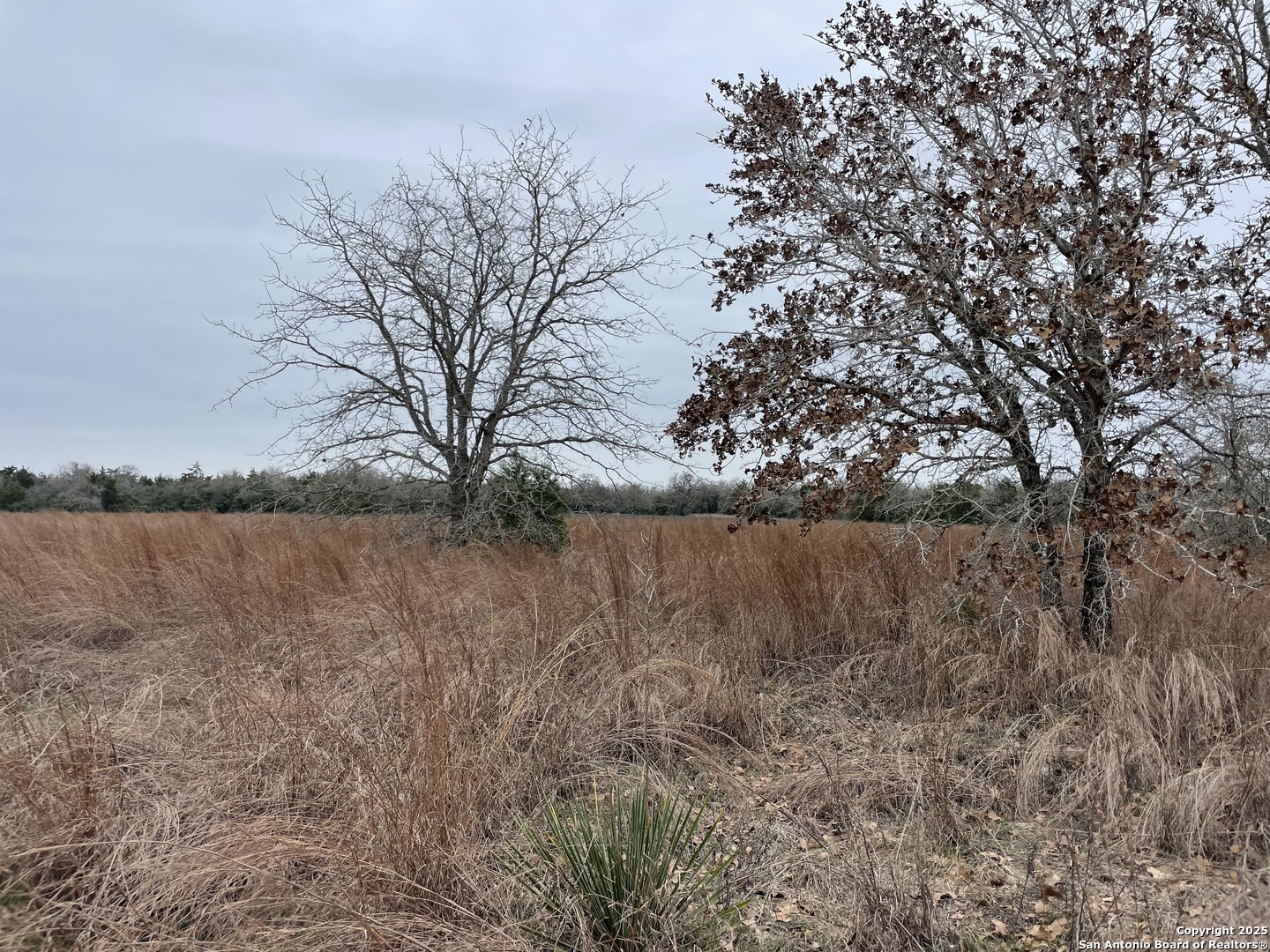 0 Mule Creek Road Harwood, TX 78632 - Photo 2 of 5