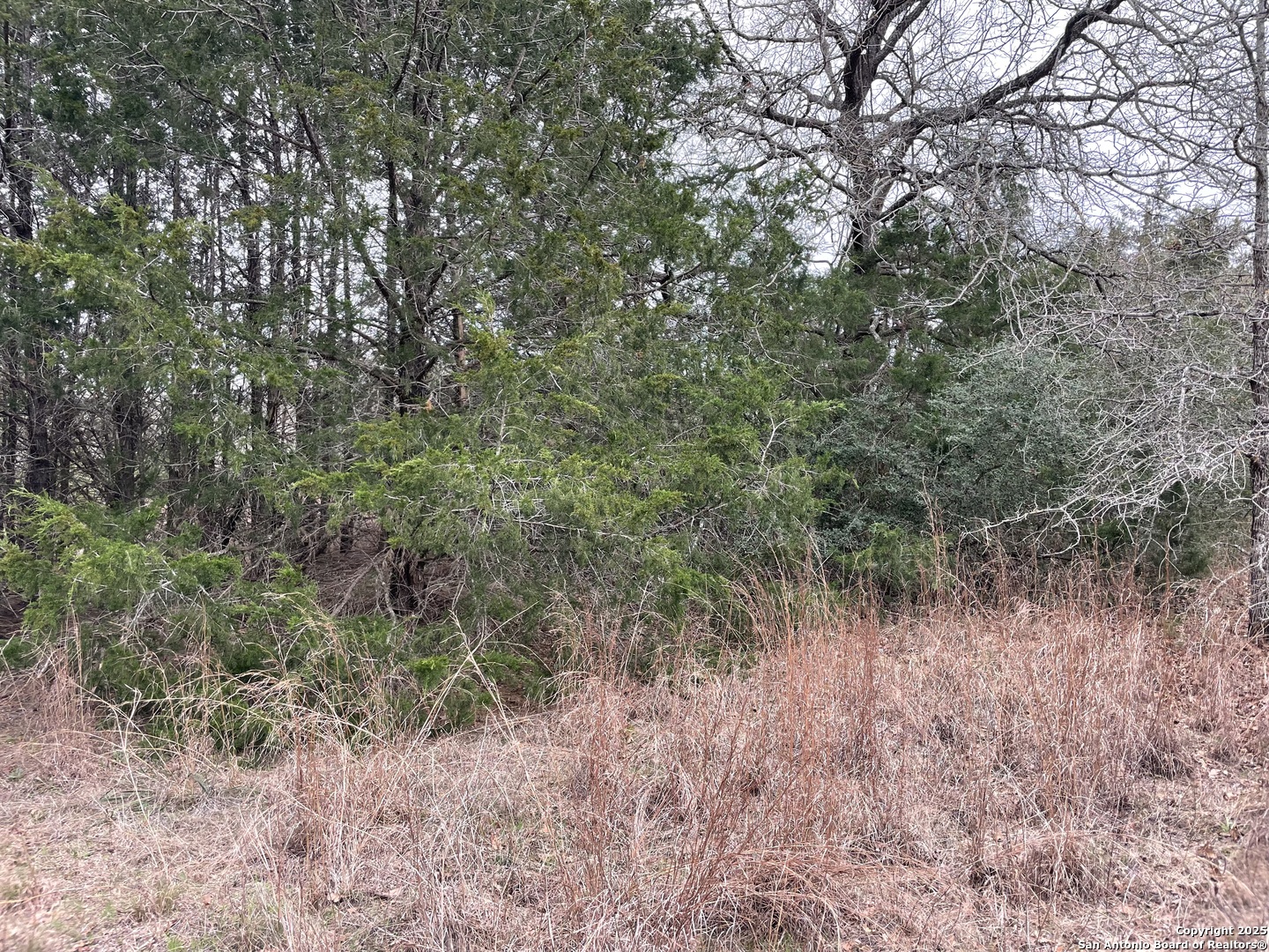 0 Mule Creek Road Harwood, TX 78632 - Photo 4 of 5