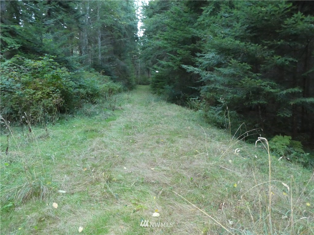 2-xx2 Devries Road Oak Harbor, WA 98277 - Photo 4 of 8 Gallery Image 4