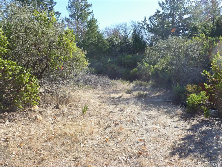 0 Cold Springs Road Angwin, CA 94508 - Photo 1 of 1 Gallery Image 1