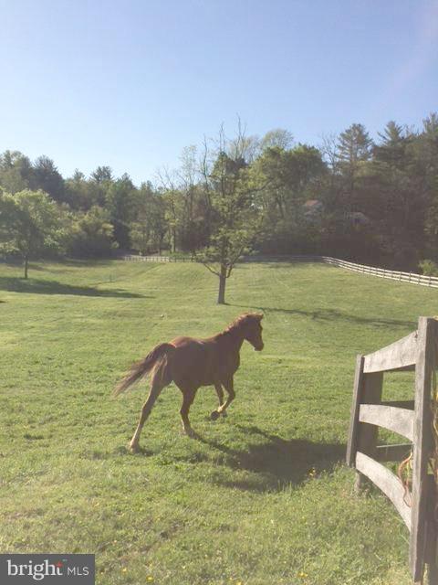 1119 Taylor Road Street, MD 21154 - Photo 1 of 30 Nature Lovers Dream Property!