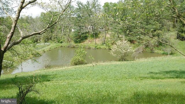 1119 Taylor Road Street, MD 21154 - Photo 3 of 30 1/2 Pond
