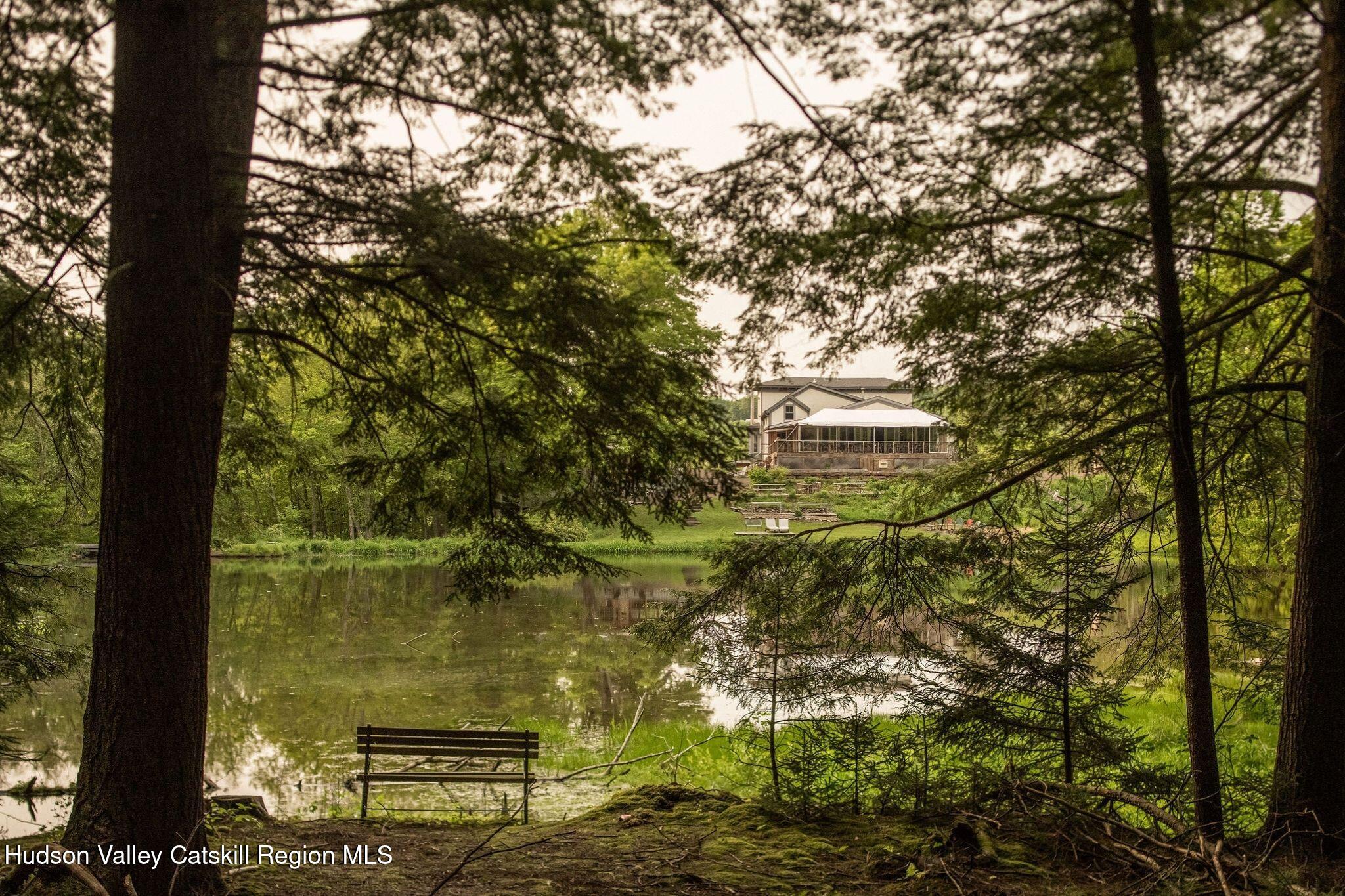 102 Main Street Jefferson, NY 12093 - Photo 56 of 57 a view of a lake from a yard