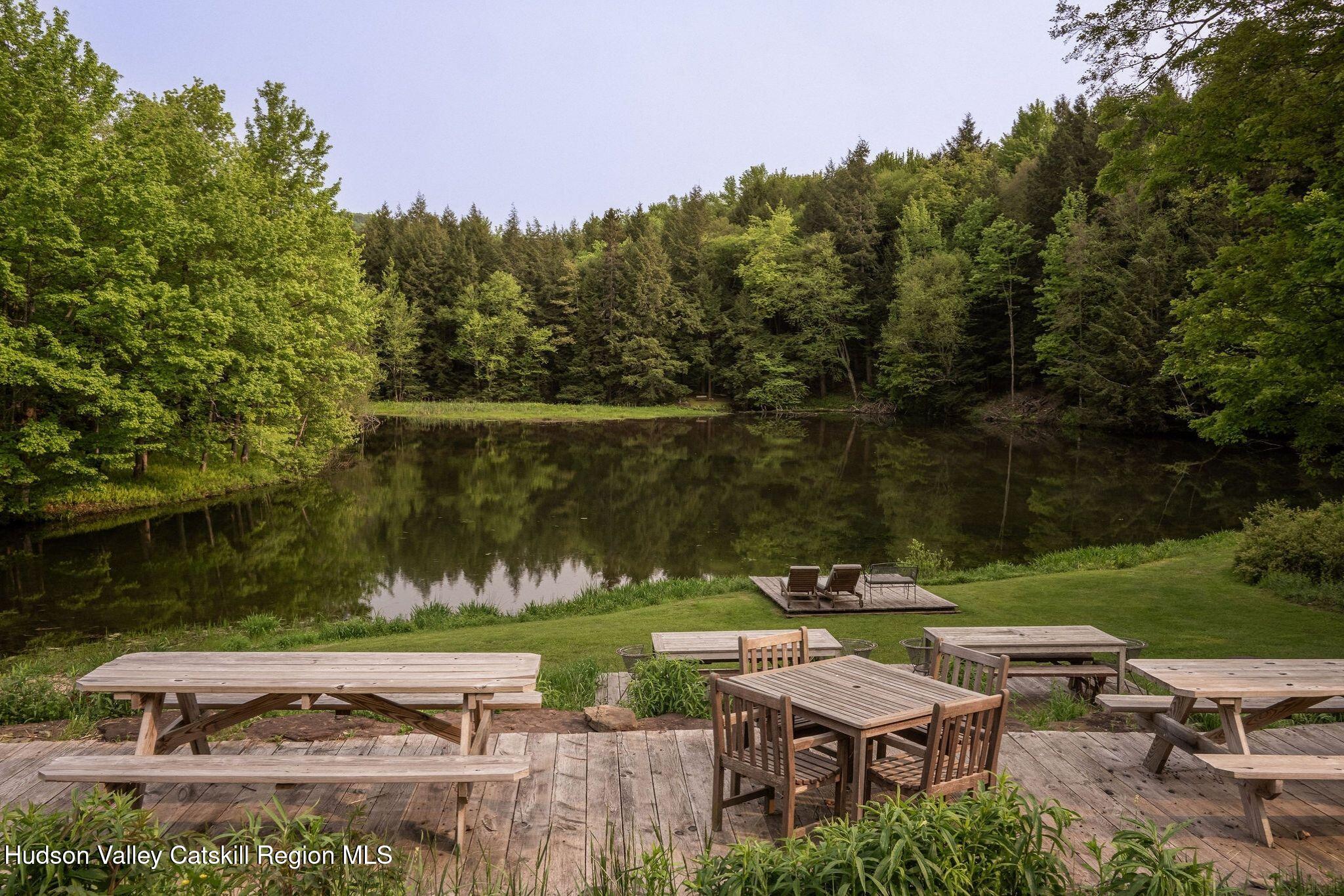 102 Main Street Jefferson, NY 12093 - Photo 57 of 57 an aerial view of a house with a yard