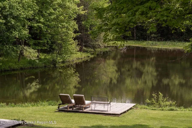 a view of a yard with plants and large trees