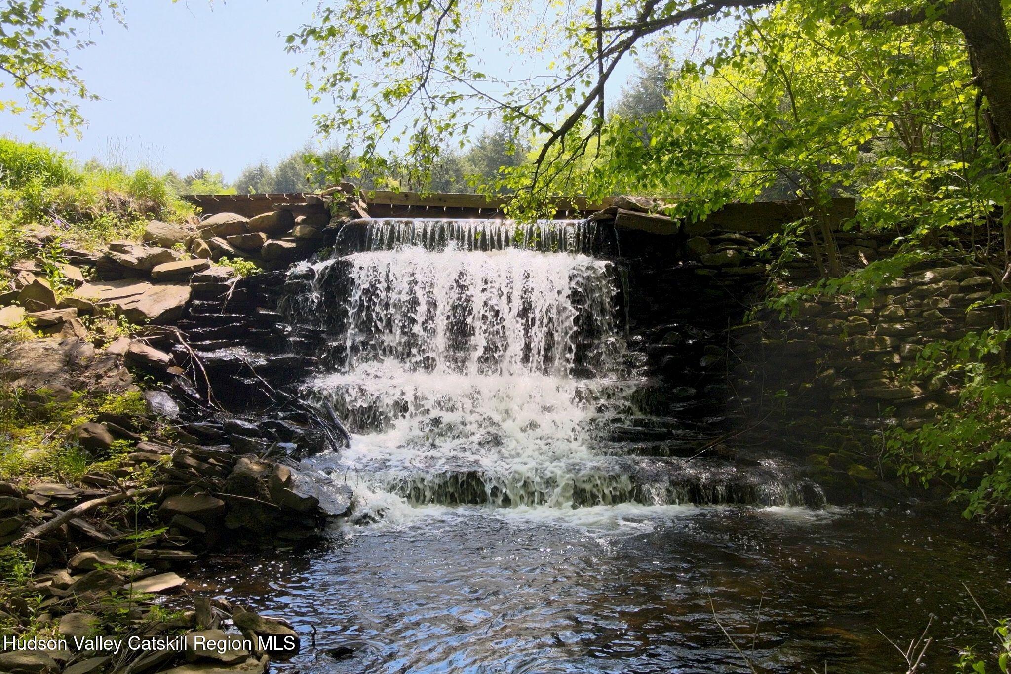 102 Main Street Jefferson, NY 12093 - Photo 9 of 57 a view of a yard with plants and large trees