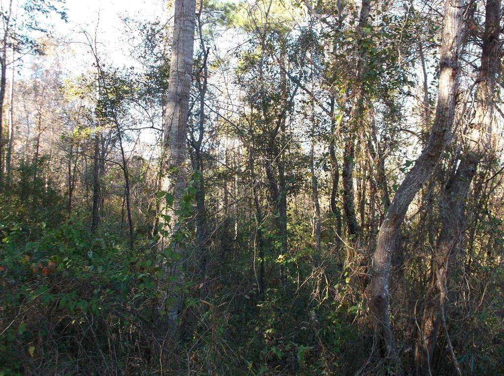 1121 Gibson Road Magnolia, MS 39652 - Photo 1 of 3 Main View
