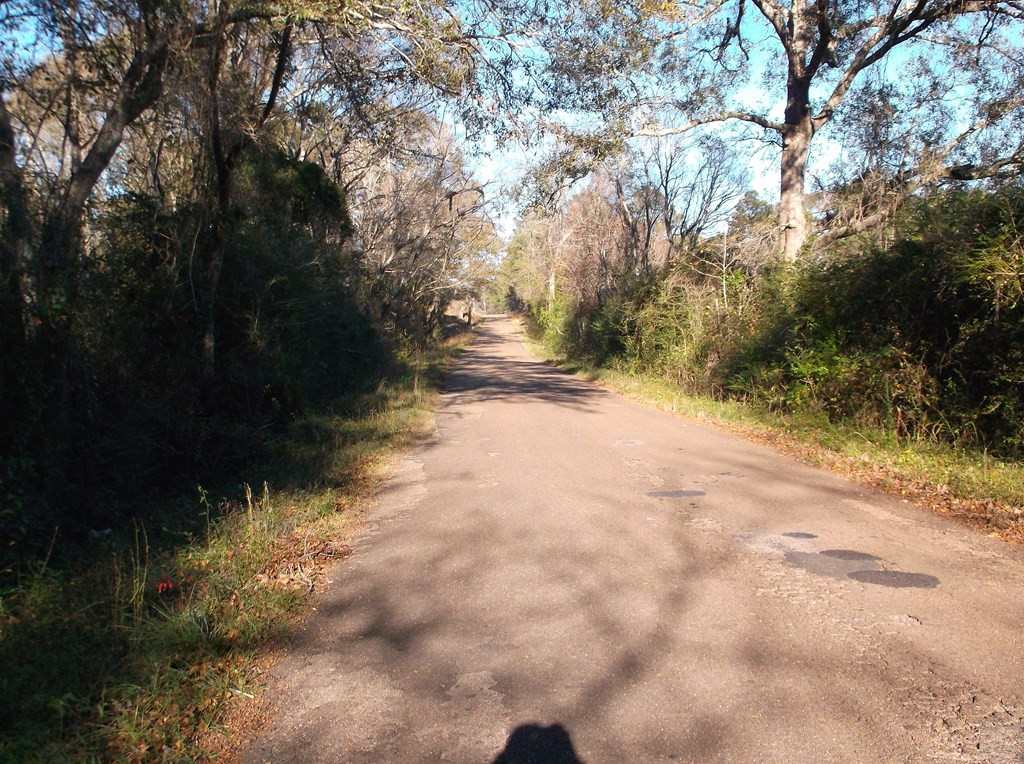 1121 Gibson Road Magnolia, MS 39652 - Photo 3 of 3 Street view property on the left