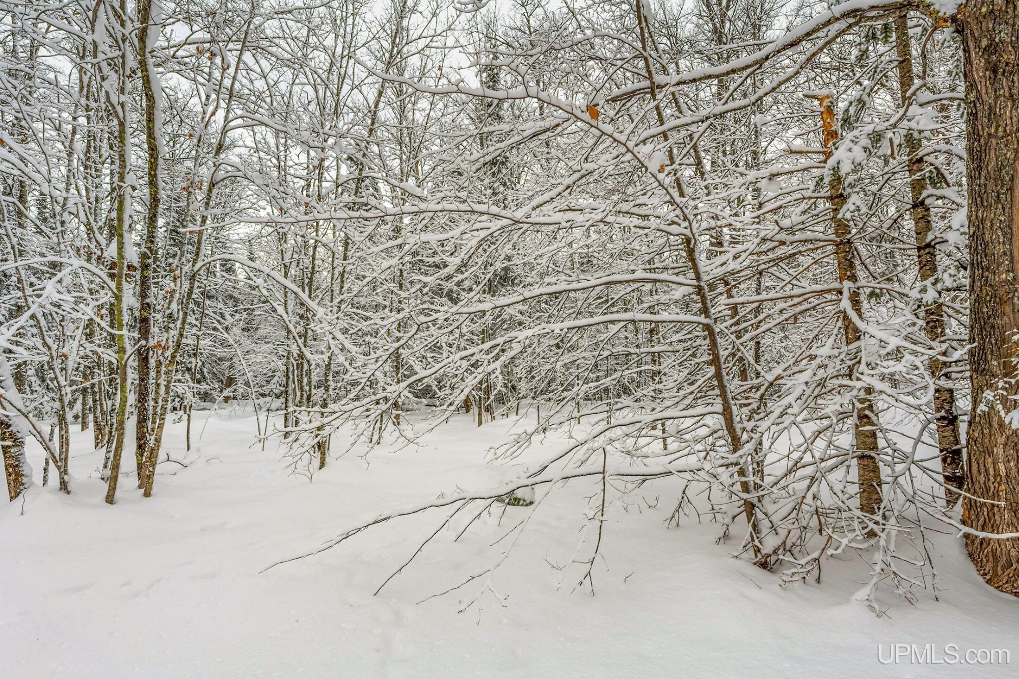 On Eagles Nest Road Phelps, WI 54554 - Photo 18 of 40 Gallery Image 18
