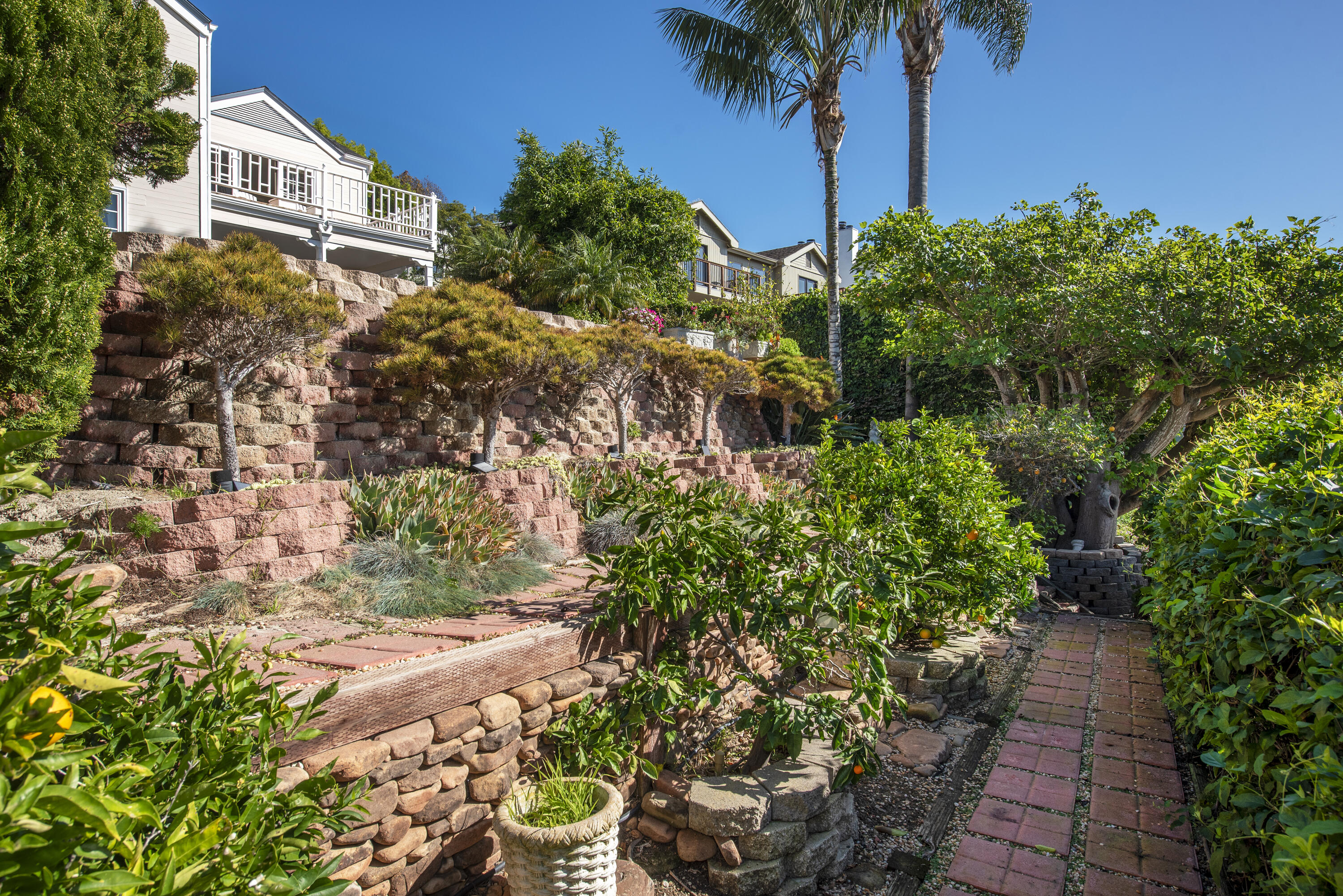 2525 Emerson Street Summerland, CA 93067 - Photo 21 of 26 a view of a garden with plants