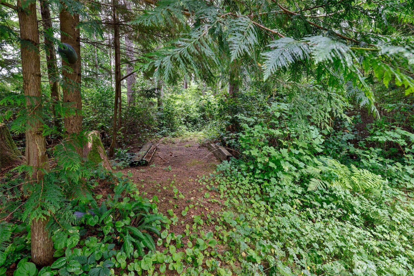 2548 Evergreen Park Road Grayland, WA 98547 - Photo 27 of 37