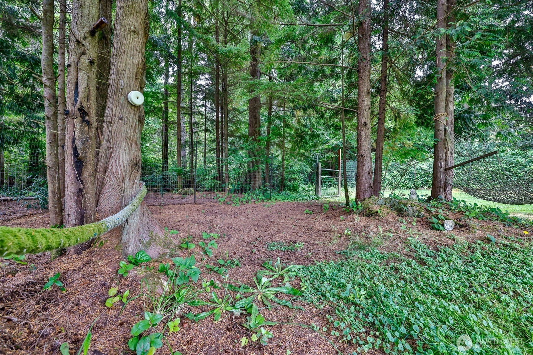 2548 Evergreen Park Road Grayland, WA 98547 - Photo 28 of 37