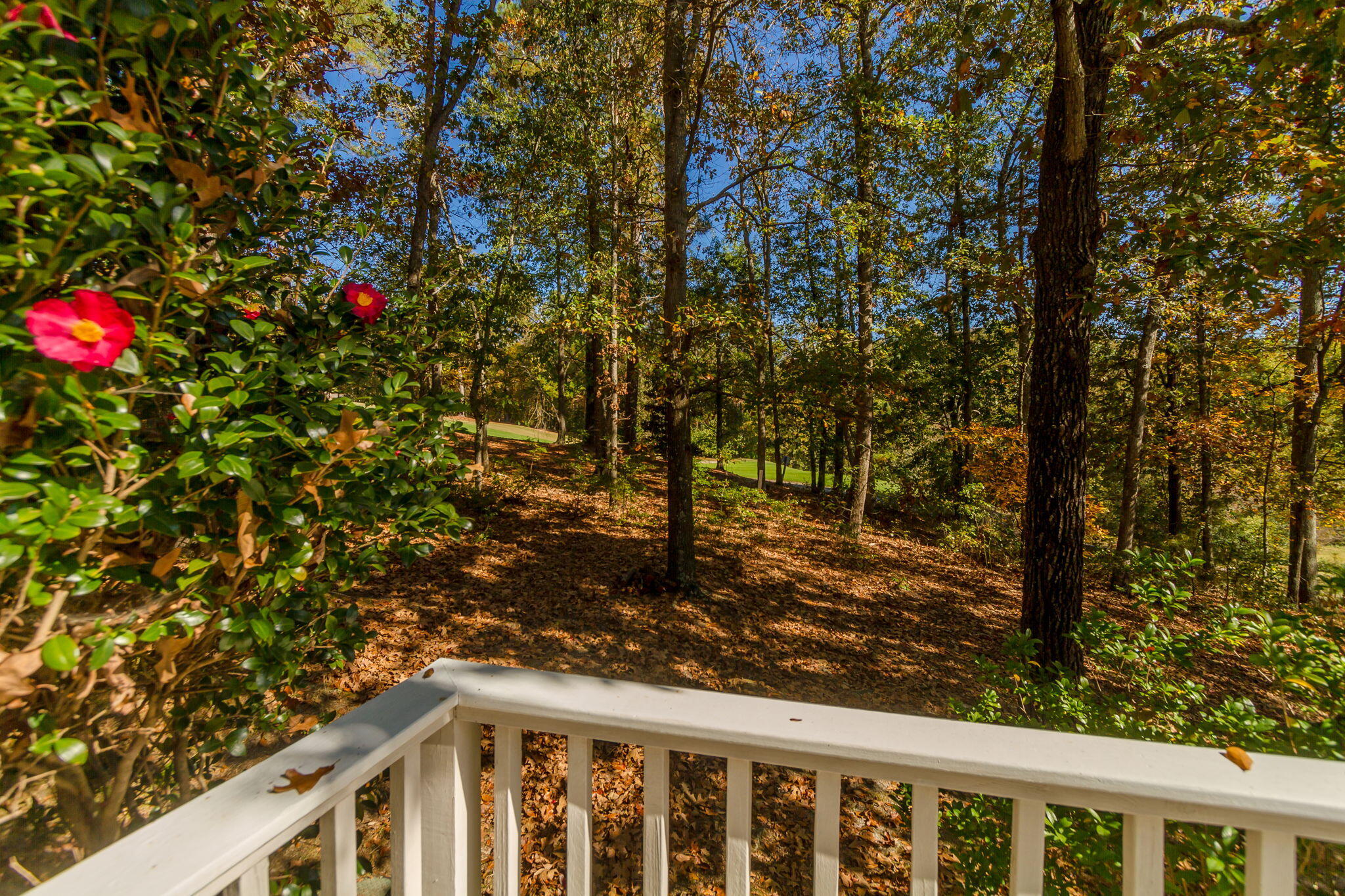 124 Sugarberry Road Aiken, SC 29803 - Photo 55 of 62