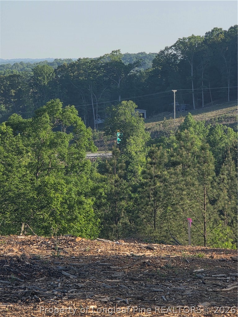 0 Skeen View Road Asheboro, NC 27205 - Photo 19 of 20 a view of a backyard