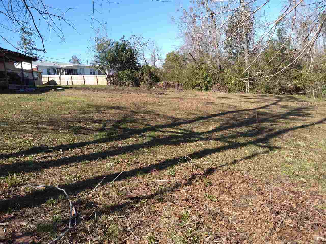 533 Satsuma Road Chattahoochee, FL 32324 - Photo 4 of 26 Gallery Image 4