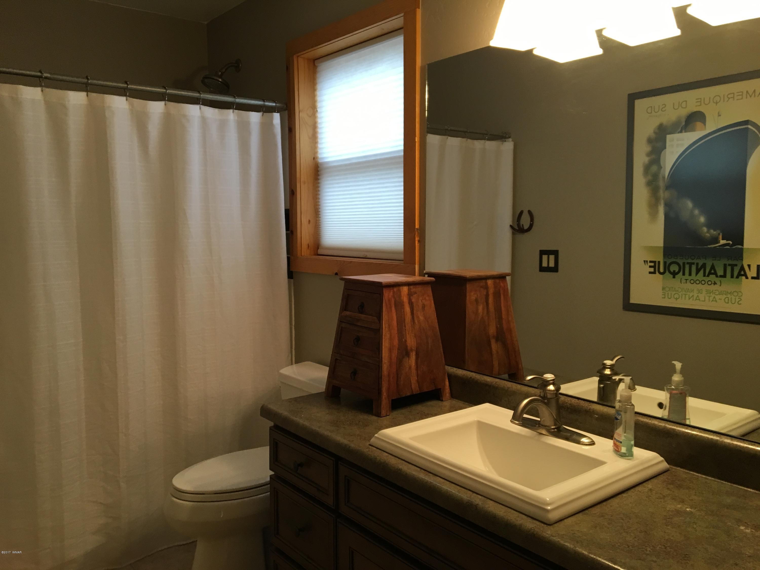 2876 Pine Rim Road Overgaard, AZ 85933 - Photo 16 of 28